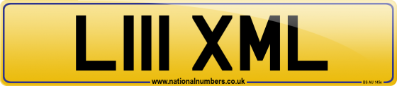 L111 XML