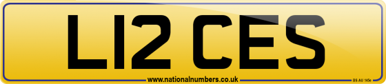 L12 CES