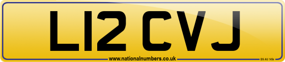 L12 CVJ