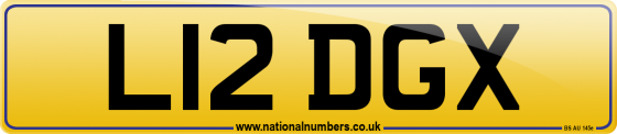 L12 DGX