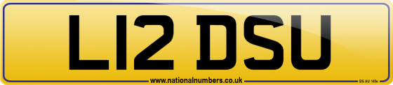 L12 DSU