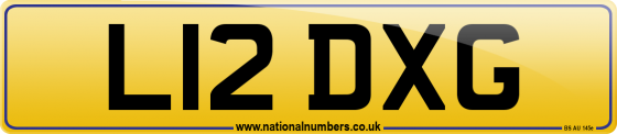 L12 DXG