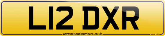 L12 DXR