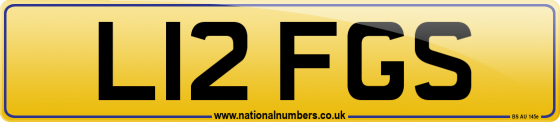 L12 FGS
