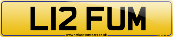 L12 FUM