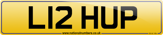 L12 HUP