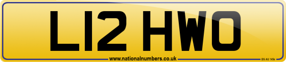 L12 HWO