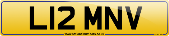 L12 MNV