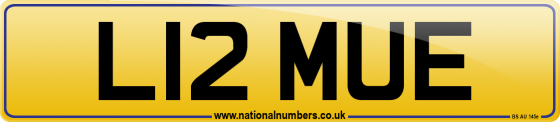 L12 MUE
