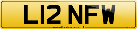 L12 NFW
