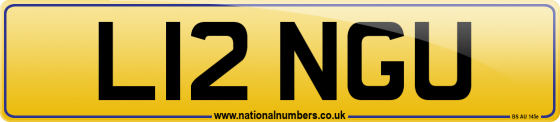 L12 NGU