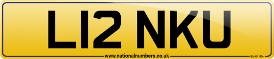 L12 NKU