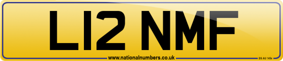L12 NMF