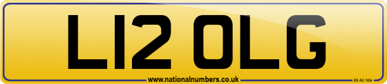 L12 OLG