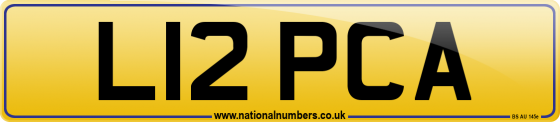 L12 PCA