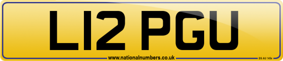L12 PGU