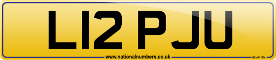L12 PJU