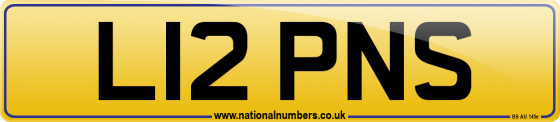 L12 PNS