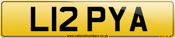 L12 PYA
