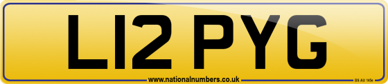 L12 PYG