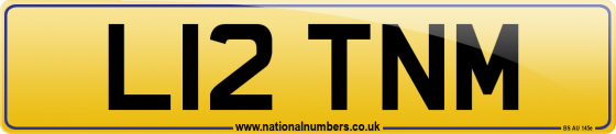 L12 TNM