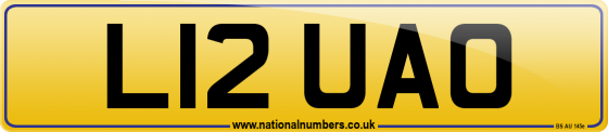 L12 UAO