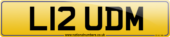 L12 UDM