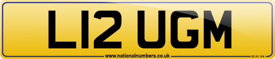 L12 UGM