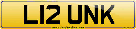 L12 UNK
