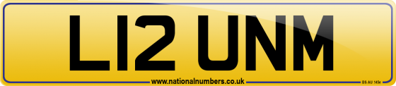 L12 UNM