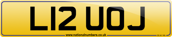 L12 UOJ