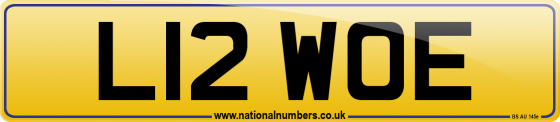 L12 WOE