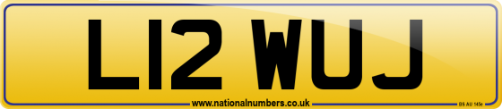 L12 WUJ