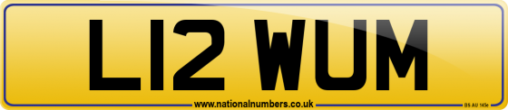 L12 WUM
