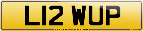 L12 WUP