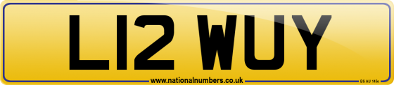 L12 WUY