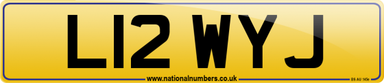 L12 WYJ