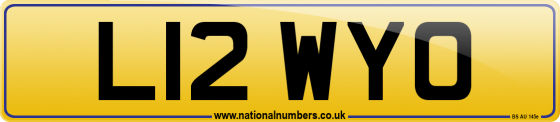 L12 WYO