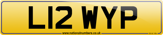 L12 WYP