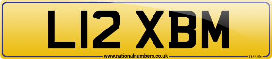 L12 XBM