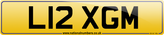 L12 XGM