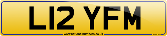 L12 YFM