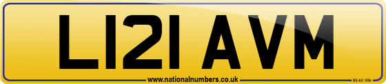 L121 AVM