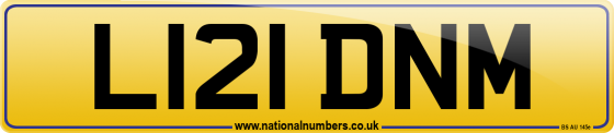 L121 DNM