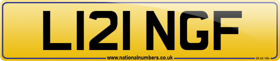 L121 NGF