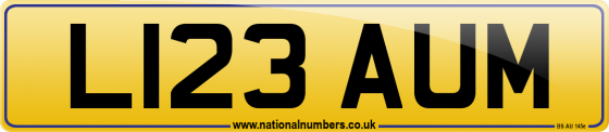L123 AUM
