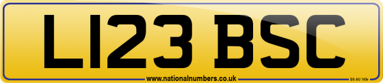 L123 BSC