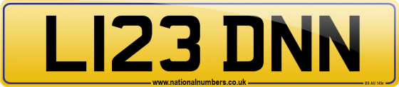L123 DNN