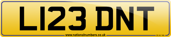 L123 DNT