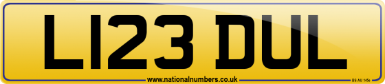 L123 DUL